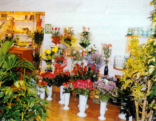 http://www.bi-plan.ru/i/cat_img/big/486742683145.jpg